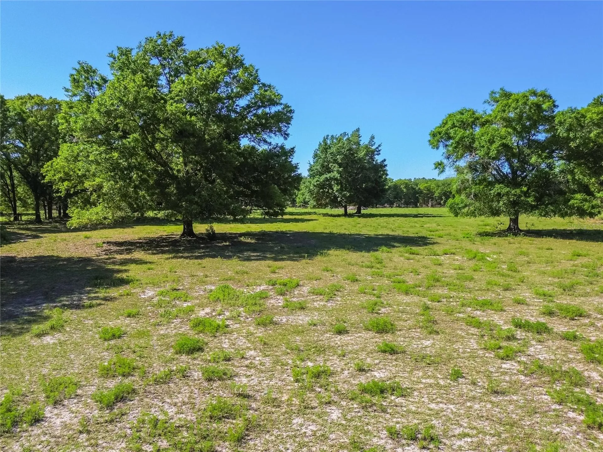 12500 Hamlin Road Spring Hill FL 34610