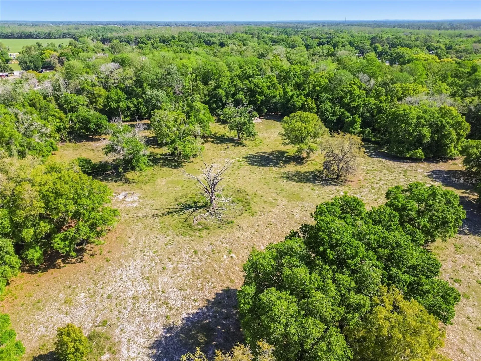 12500 Hamlin Road Spring Hill FL 34610