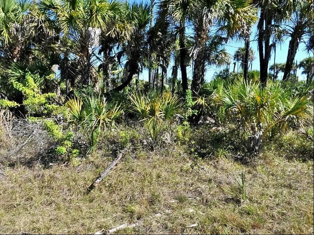 Hiawatha Terrace North Port FL 34288