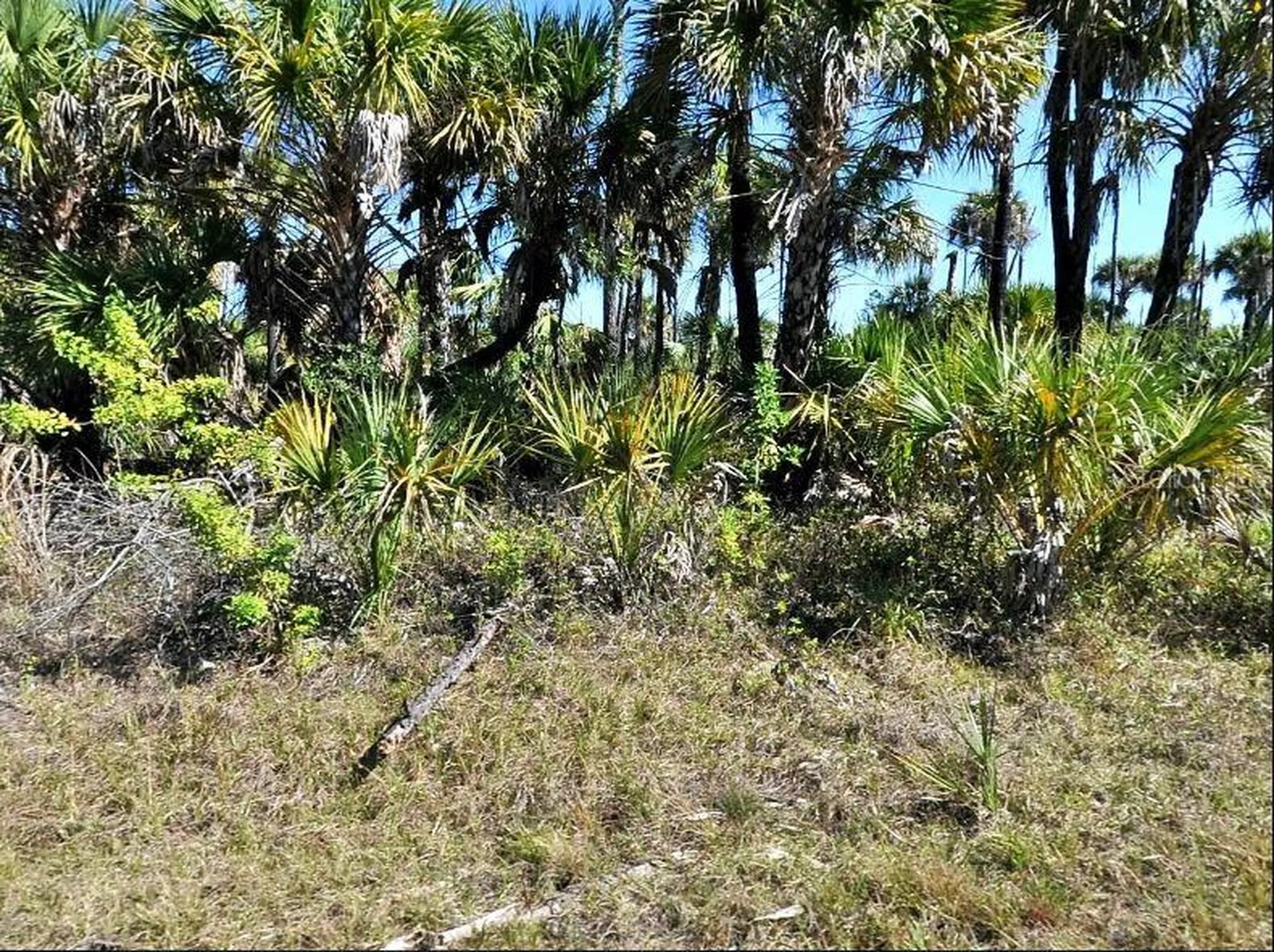 Hiawatha Terrace North Port FL 34288