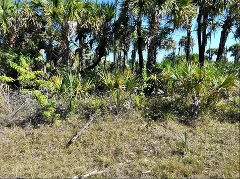 Hiawatha Terrace North Port FL 34288