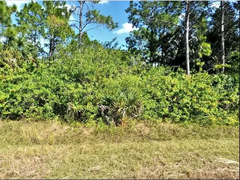 Jubilee Circle North Port FL 34288