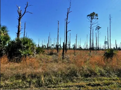 Ewen Circle North Port FL 34288