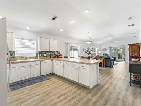 1929 Ladyfish Avenue The Villages FL 32162