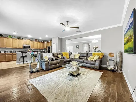 19129 Umberland Place Land O Lakes FL 34638