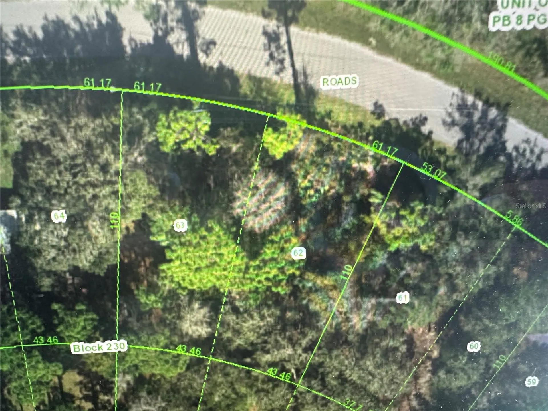 Estelle New Port Richey FL 34654