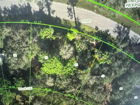 Estelle New Port Richey FL 34654