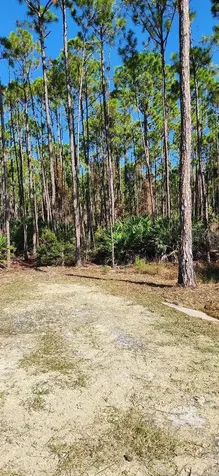 Lot 9 SW 104 Street Cedar Key FL 32625