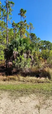 Lot 9 SW 104 Street Cedar Key FL 32625