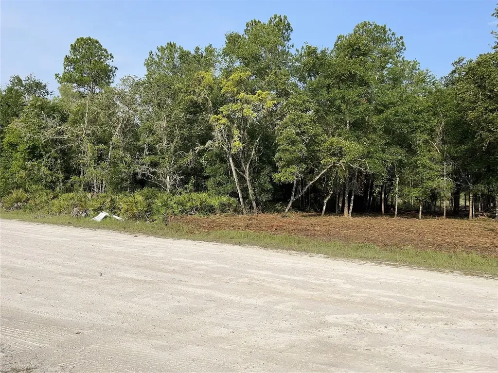 7123 Glenchester Drive Webster FL 33597