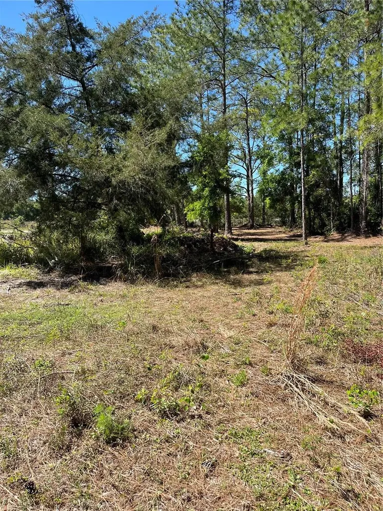 7123 Glenchester Drive Webster FL 33597