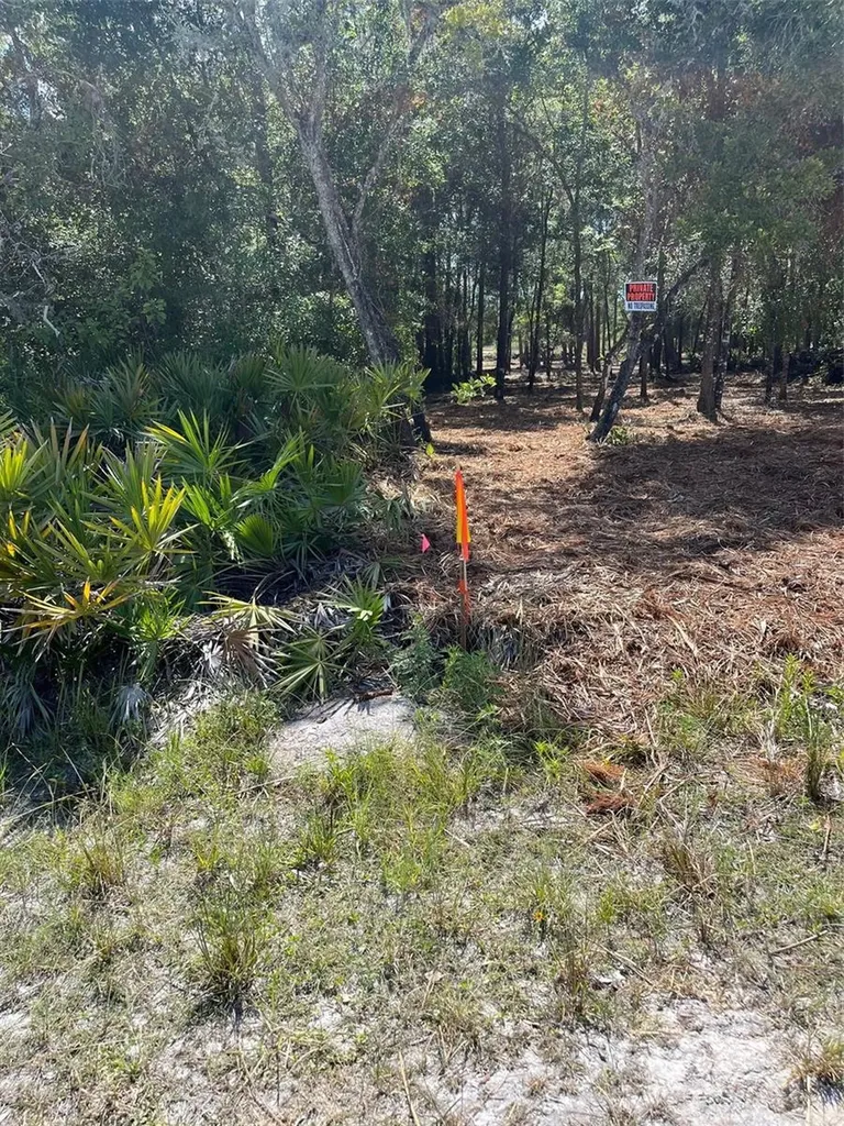 7123 Glenchester Drive Webster FL 33597
