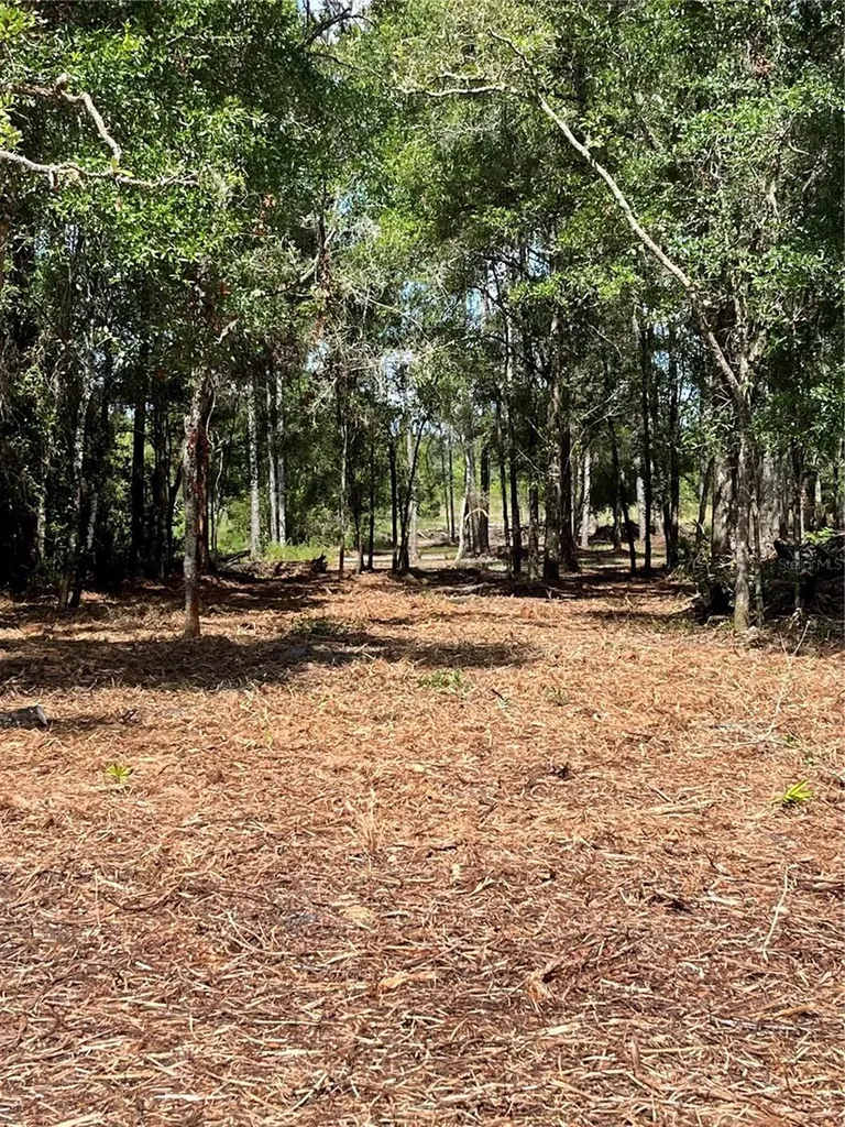 7123 Glenchester Drive Webster FL 33597