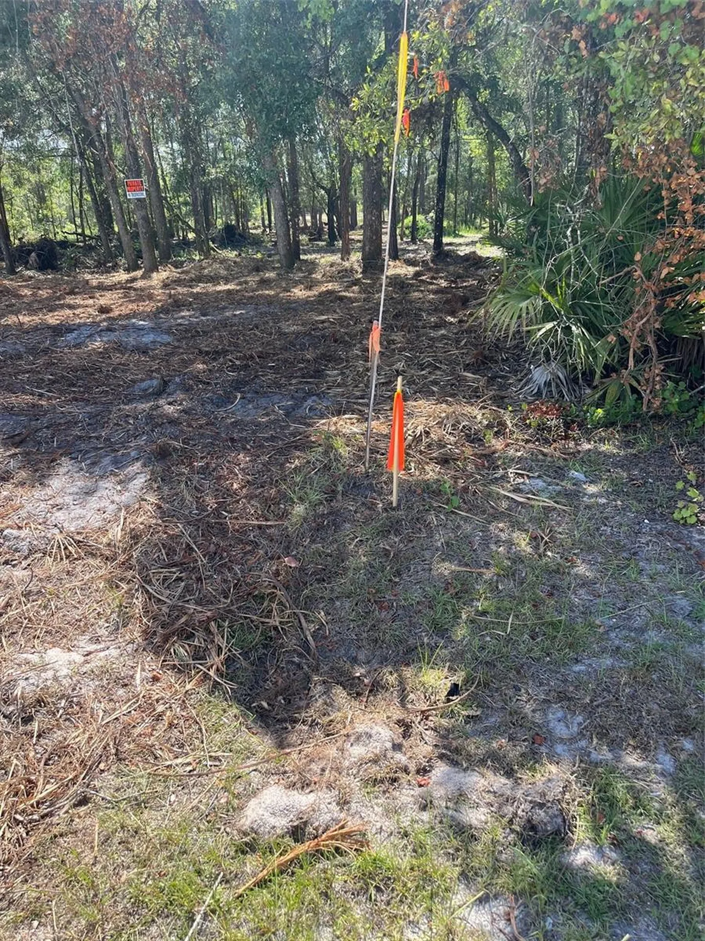 7123 Glenchester Drive Webster FL 33597