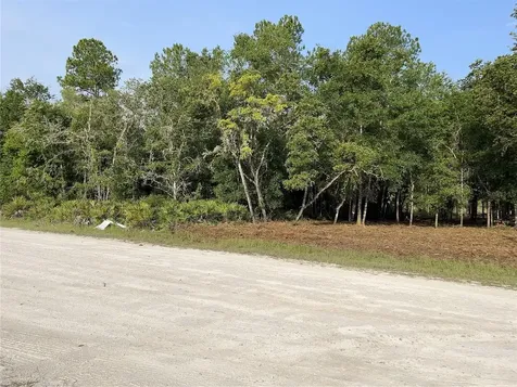 7123 Glenchester Drive Webster FL 33597