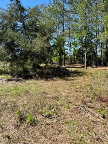 7123 Glenchester Drive Webster FL 33597