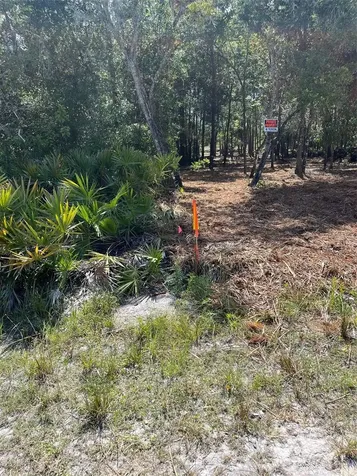 7123 Glenchester Drive Webster FL 33597