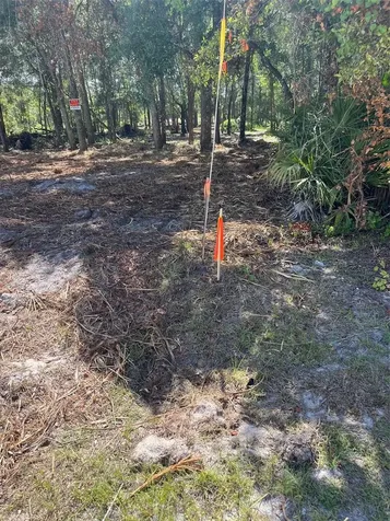 7123 Glenchester Drive Webster FL 33597