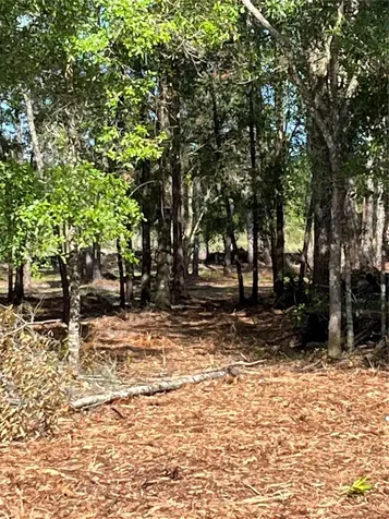 7123 Glenchester Drive Webster FL 33597
