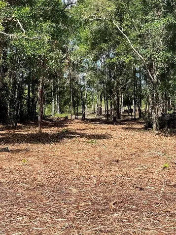 7123 Glenchester Drive Webster FL 33597