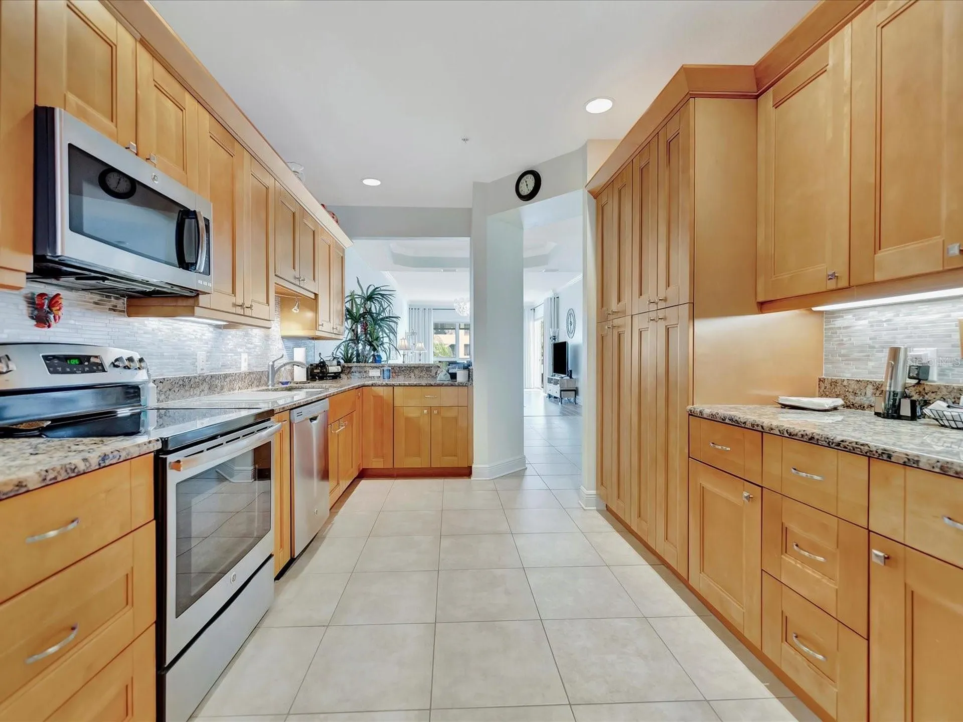 1022 Bellasol Way Apollo Beach FL 33572