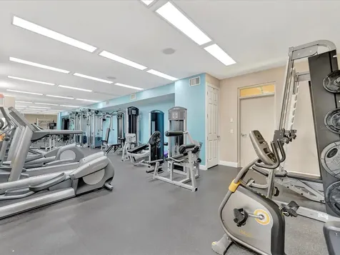 1022 Bellasol Way Apollo Beach FL 33572