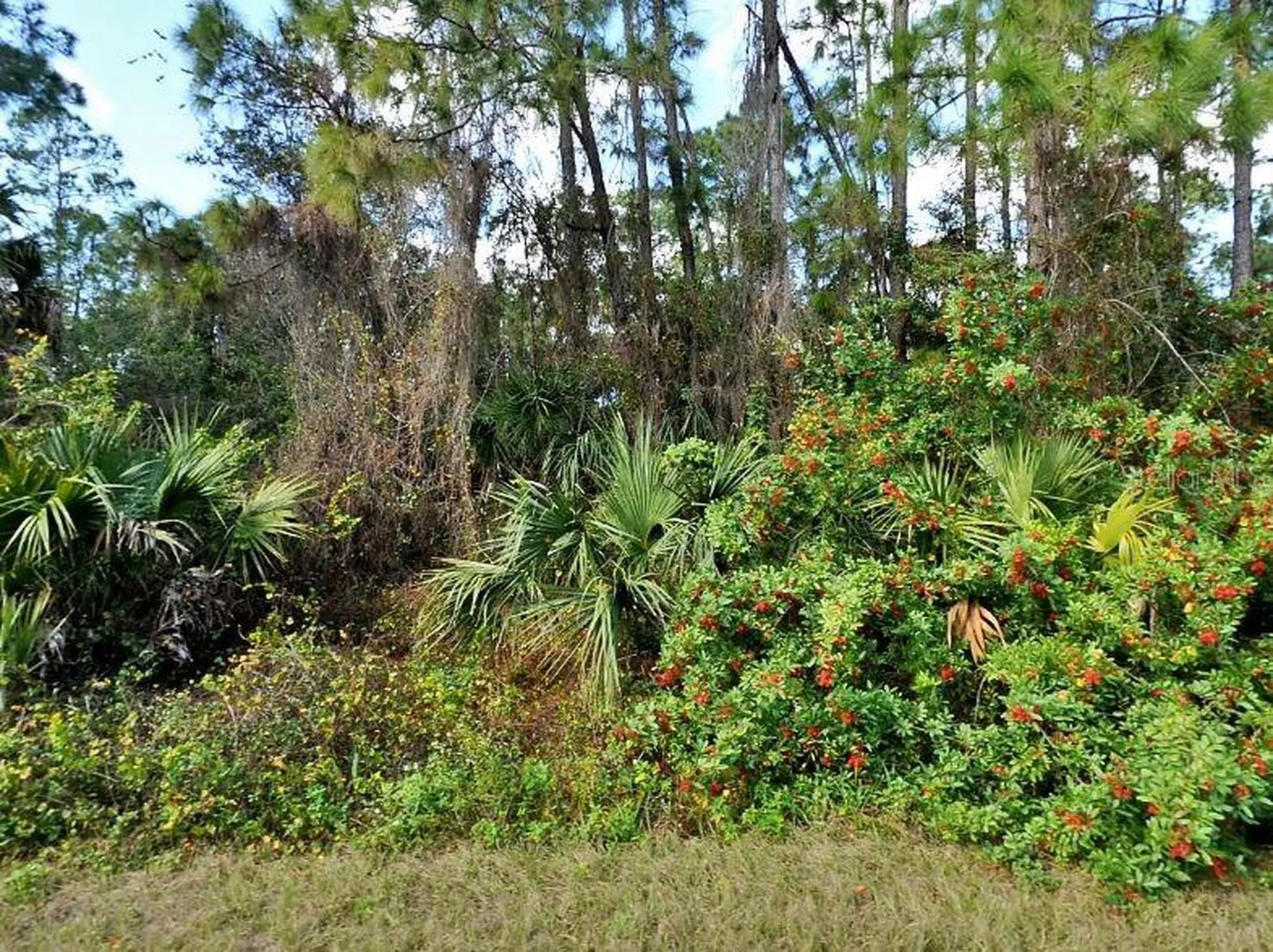 Jubilee Circle North Port FL 34288