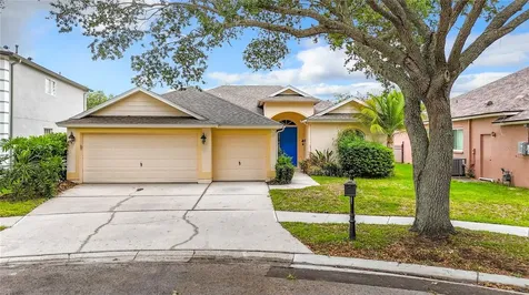 19003 Falcons Place Tampa FL 33647