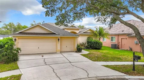 19003 Falcons Place Tampa FL 33647