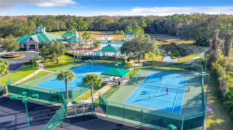 19003 Falcons Place Tampa FL 33647