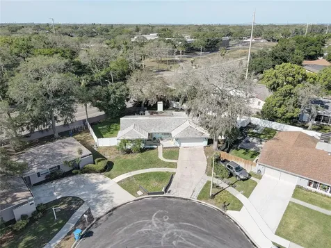 1920 Sandpiper Drive Palm Harbor FL 34683
