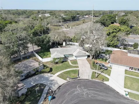 1920 Sandpiper Drive Palm Harbor FL 34683