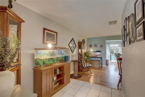 1920 Sandpiper Drive Palm Harbor FL 34683