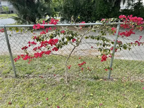 935 Joe Street Orange City FL 32763
