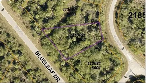 Fireglow Circle North Port FL 34288