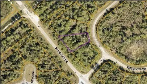 Fireglow Circle North Port FL 34288