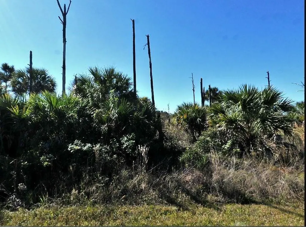Ewen Circle North Port FL 34288
