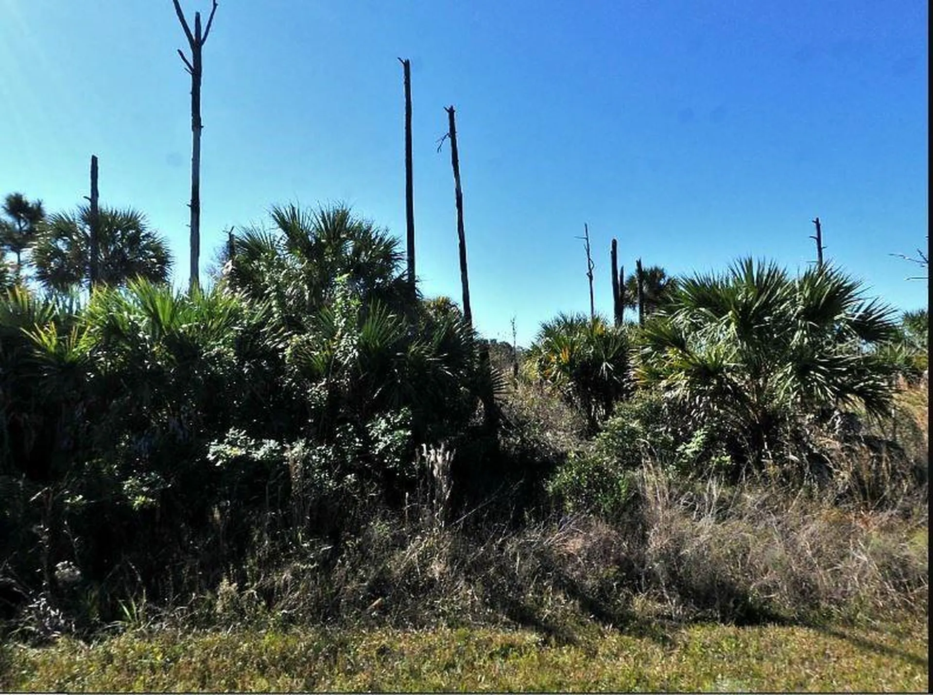 Ewen Circle North Port FL 34288