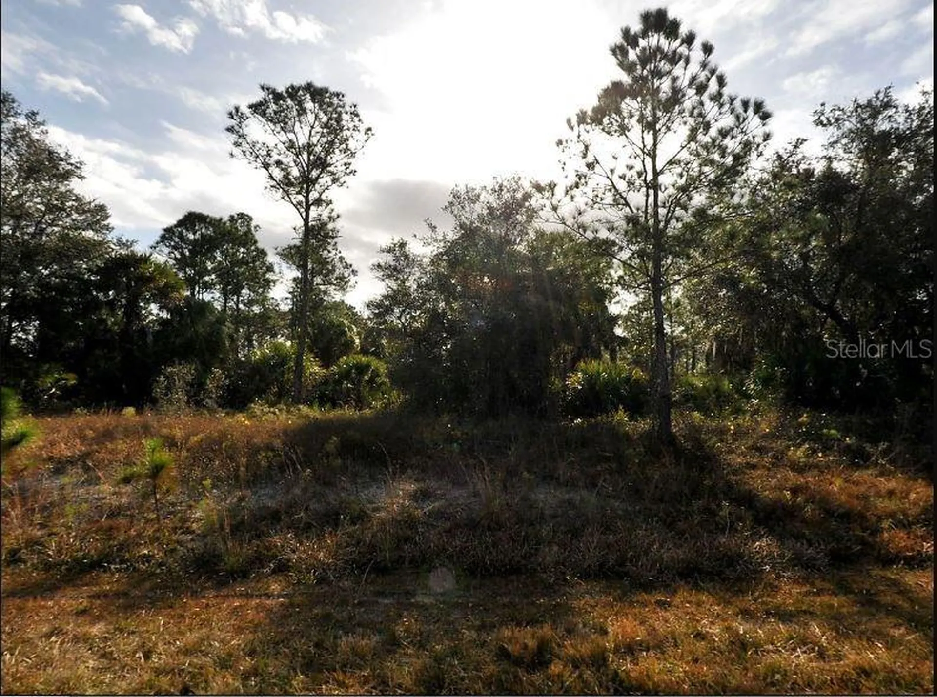 Marsden Avenue North Port FL 34288