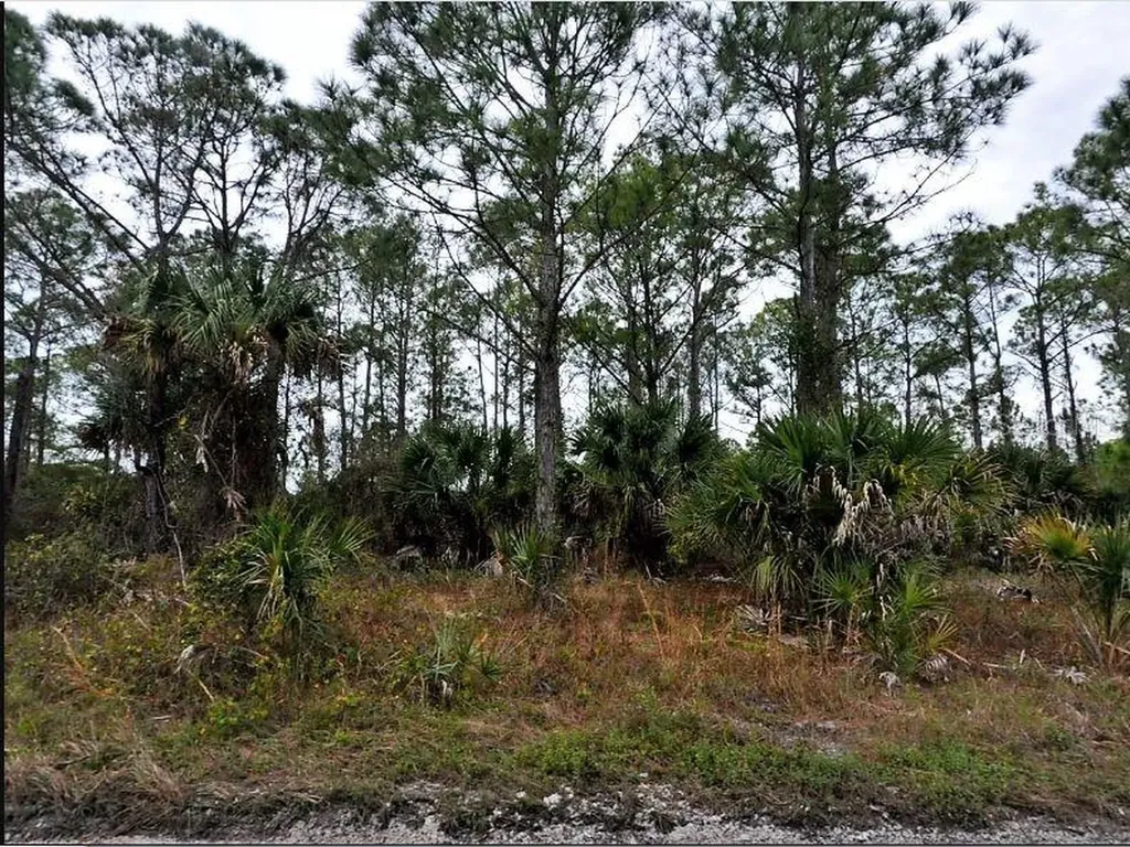 Langlais Drive North Port FL 34288