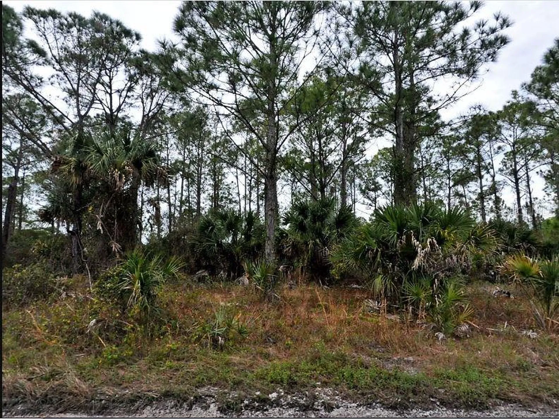 Langlais Drive North Port FL 34288