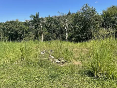 Calle Carraizo Caguas PR 00725