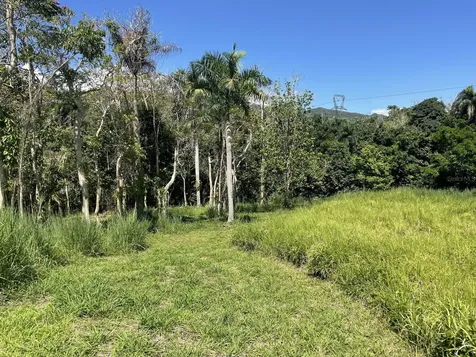 Calle Carraizo Caguas PR 00725