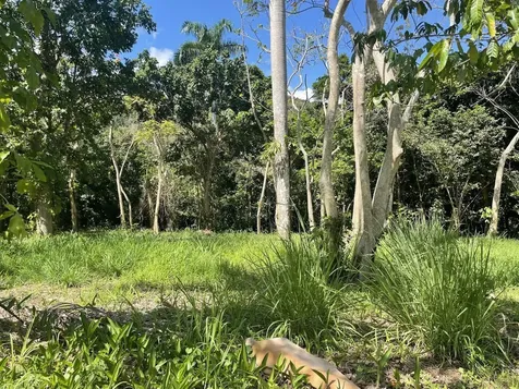 Calle Carraizo Caguas PR 00725