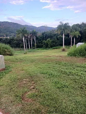 Calle Carraizo Caguas PR 00725