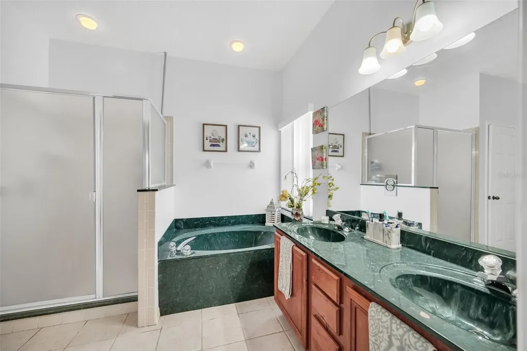 541 Castlemain Circle Davenport FL 33897