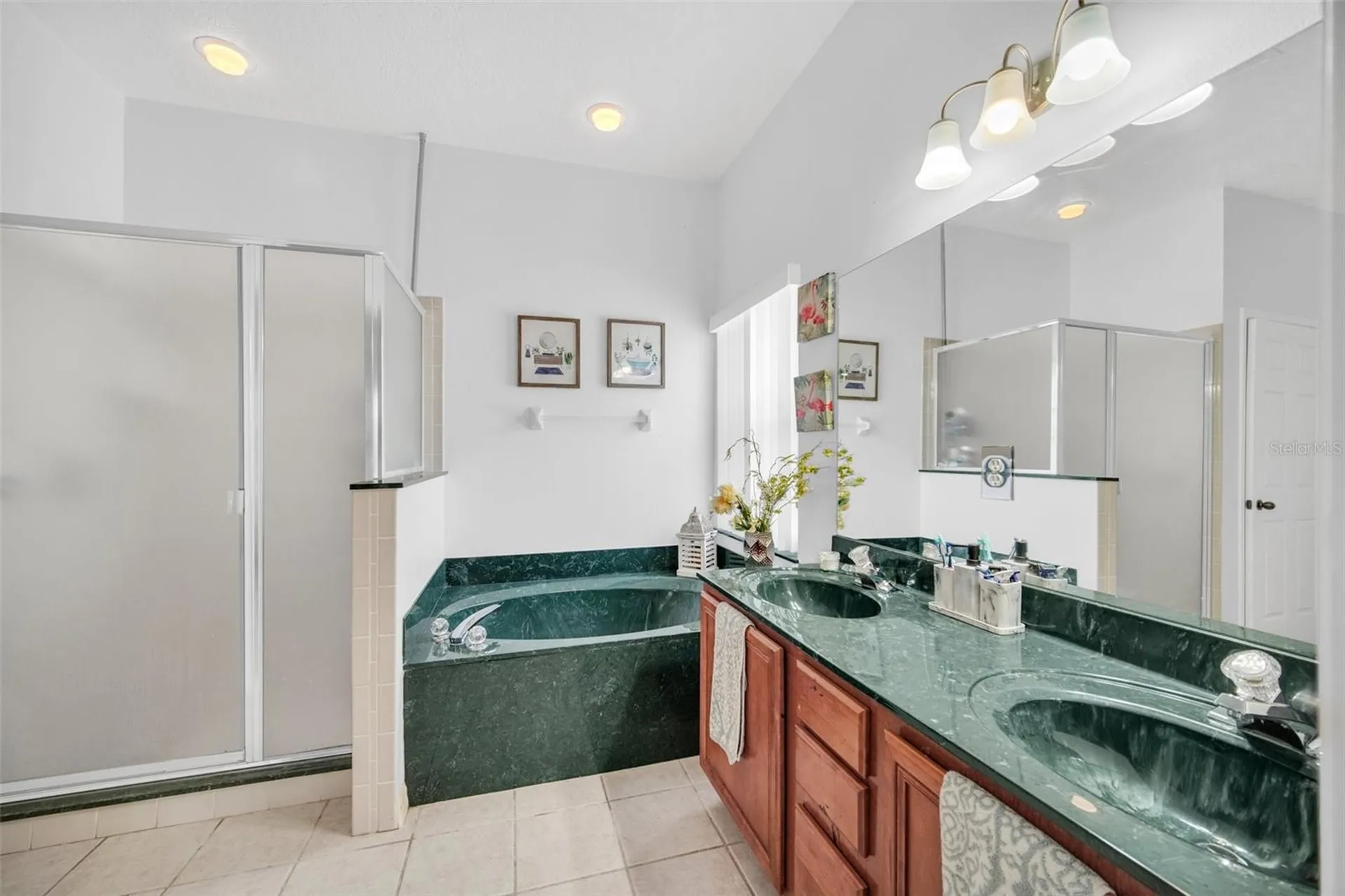 541 Castlemain Circle Davenport FL 33897
