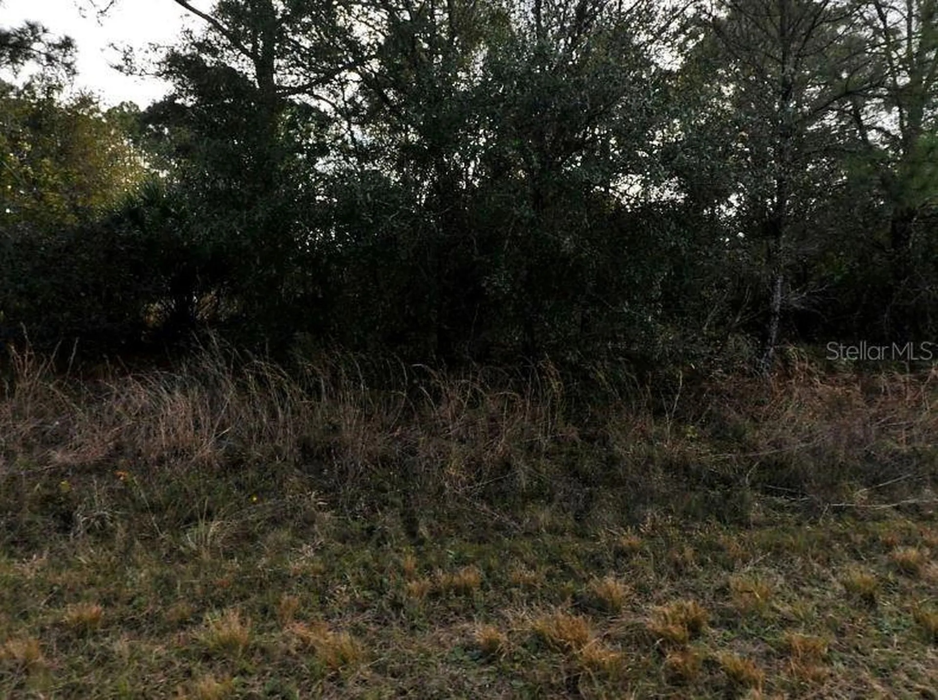 Mansfield Circle North Port FL 34288