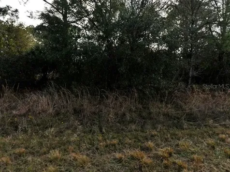 Mansfield Circle North Port FL 34288
