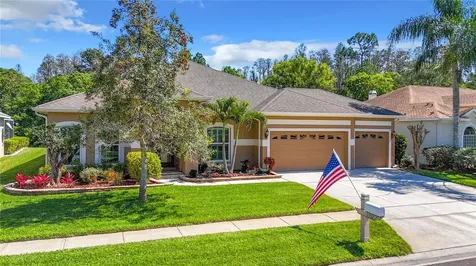 1352 Highwood Place Wesley Chapel FL 33543